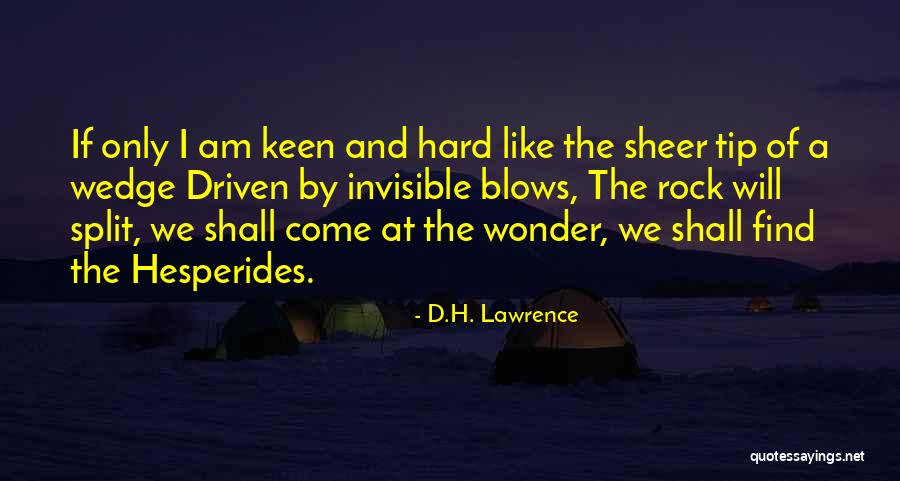 Tip Quotes By D.H. Lawrence