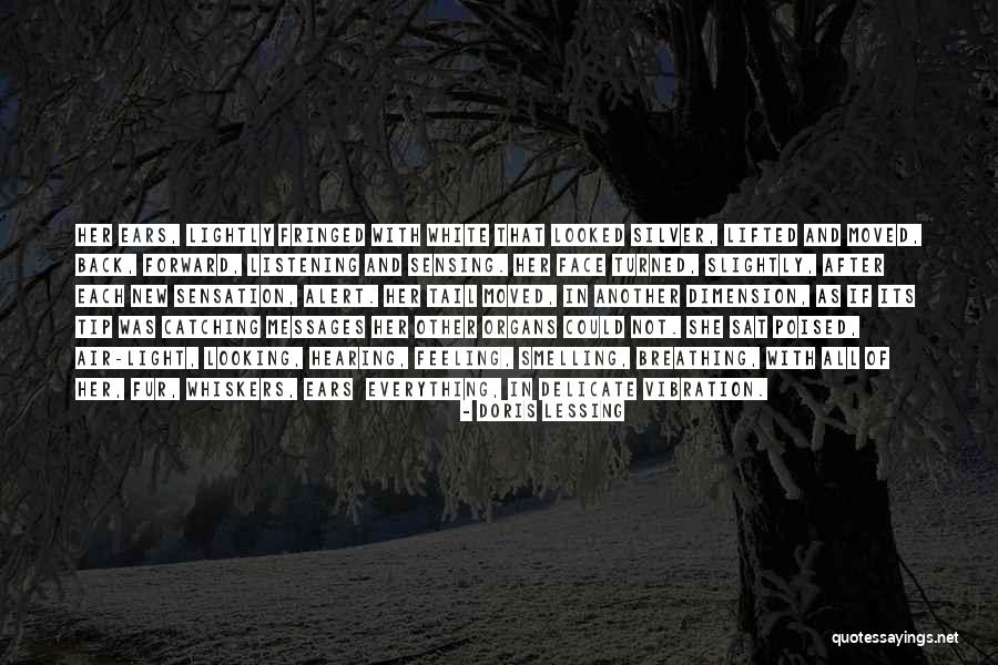 Tip Quotes By Doris Lessing Tip Quotes By Doris Lessing