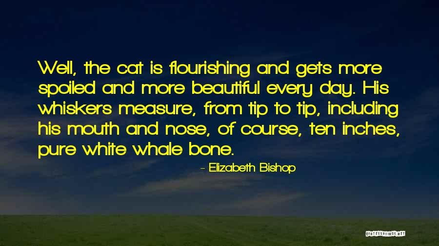 Tip Quotes By Elizabeth Bishop