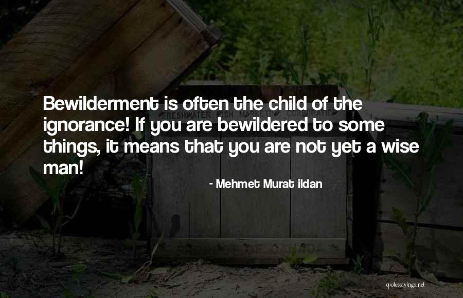 Tipi Socks Quotes By Mehmet Murat Ildan Tipi Socks Quotes By Mehmet Murat Ildan