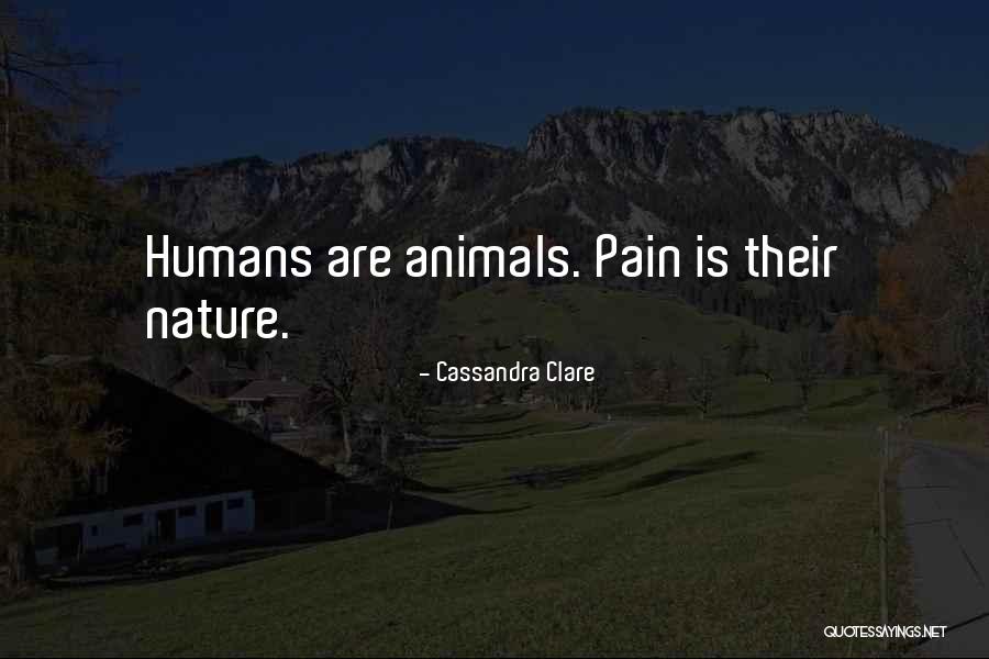 Tipico De Mexico Quotes By Cassandra Clare Tipico De Mexico Quotes By Cassandra Clare