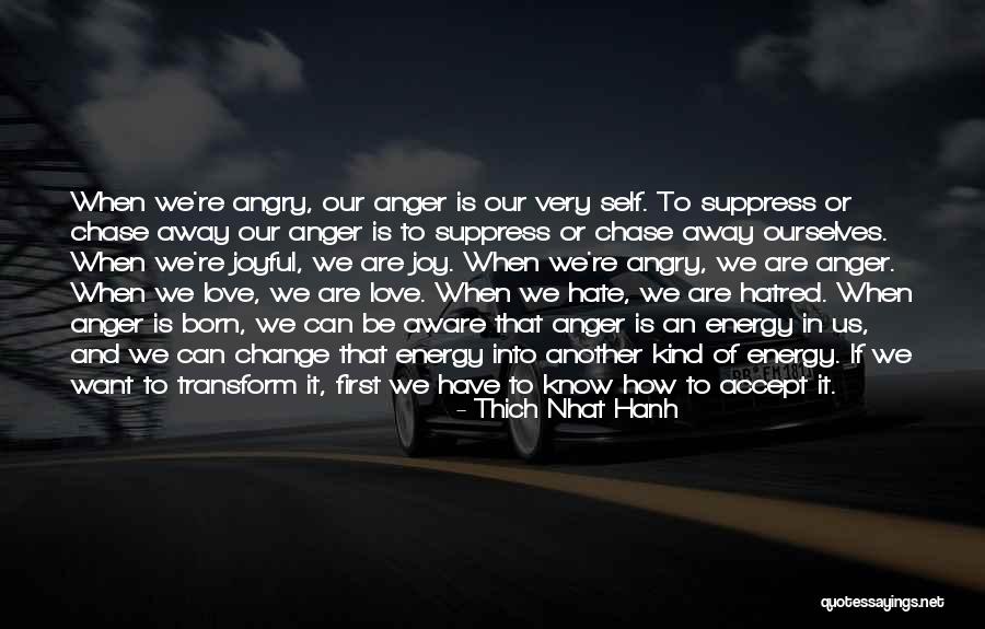 Tippie Johnston Quotes By Thich Nhat Hanh Tippie Johnston Quotes By Thich Nhat Hanh