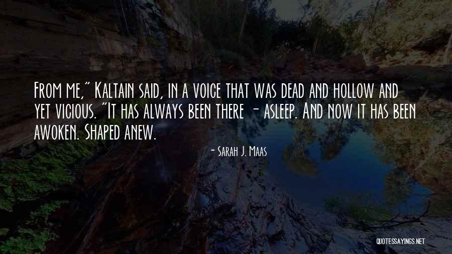 Tippings Quotes By Sarah J. Maas Tippings Quotes By Sarah J. Maas