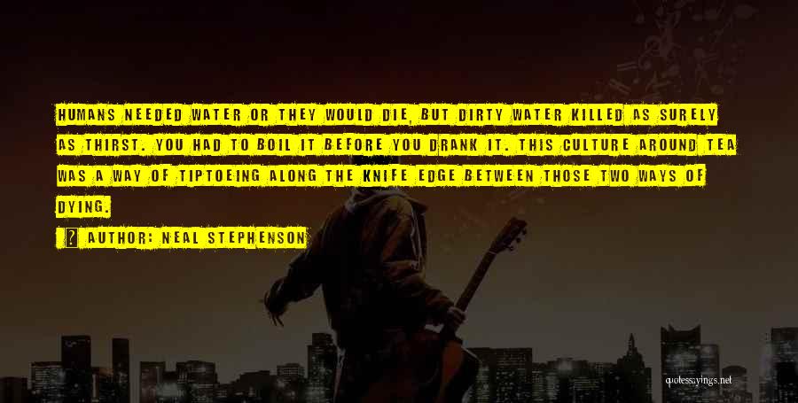 Tiptoeing Quotes By Neal Stephenson