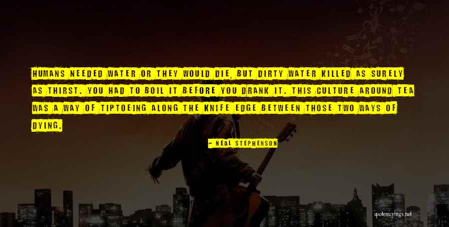 Tiptoeing Quotes By Neal Stephenson