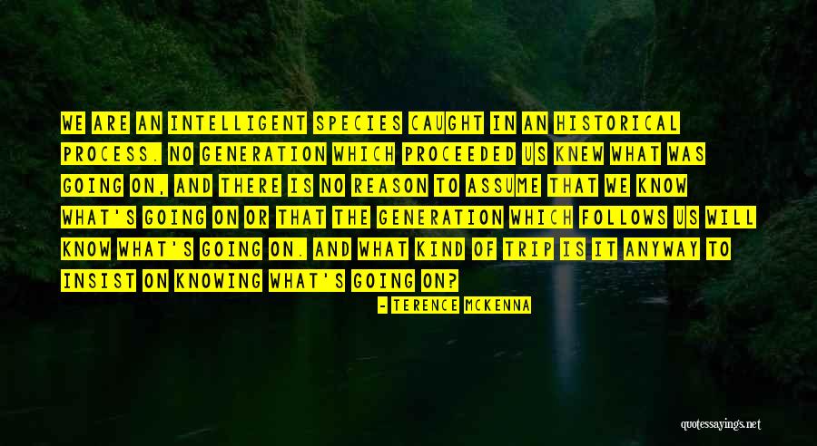 Tiptoes Song Quotes By Terence McKenna Tiptoes Song Quotes By Terence McKenna