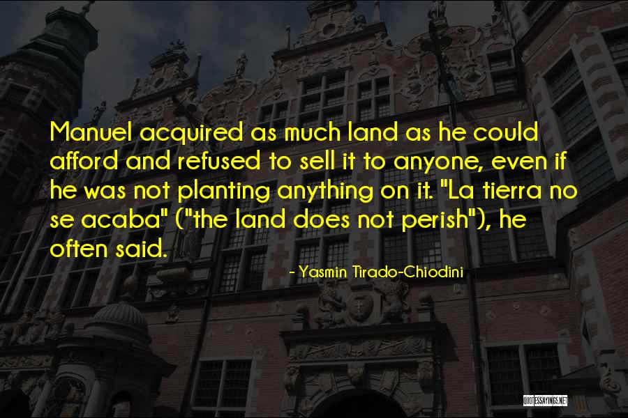 Tirado Quotes By Yasmin Tirado-Chiodini Tirado Quotes By Yasmin Tirado-Chiodini