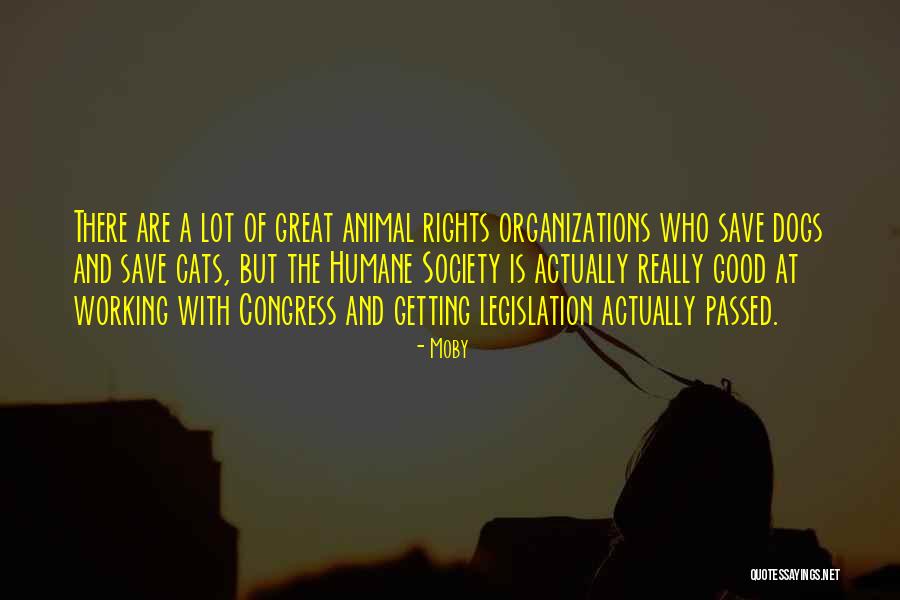 Tire Kingdom Quotes By Moby Tire Kingdom Quotes By Moby