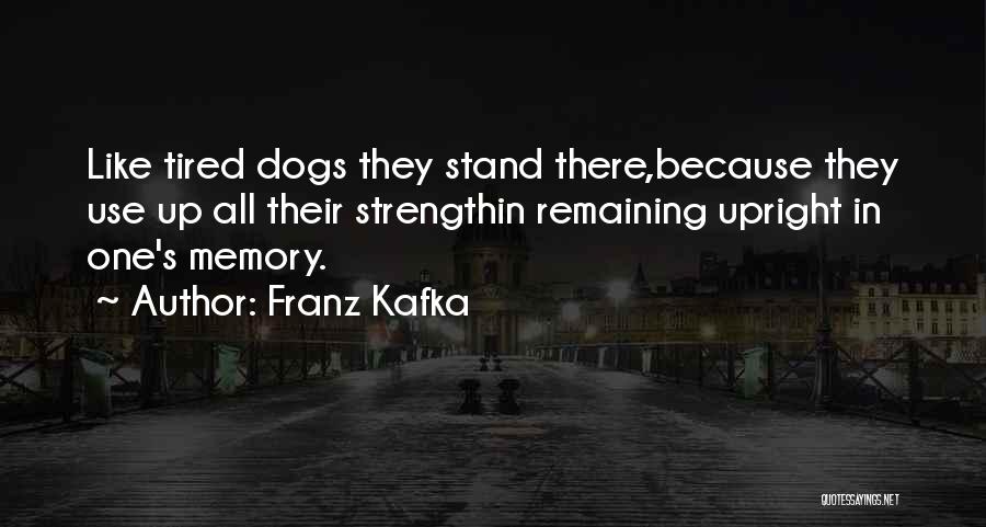 Tired Dogs Quotes By Franz Kafka