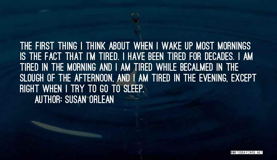 Tired Morning Quotes By Susan Orlean