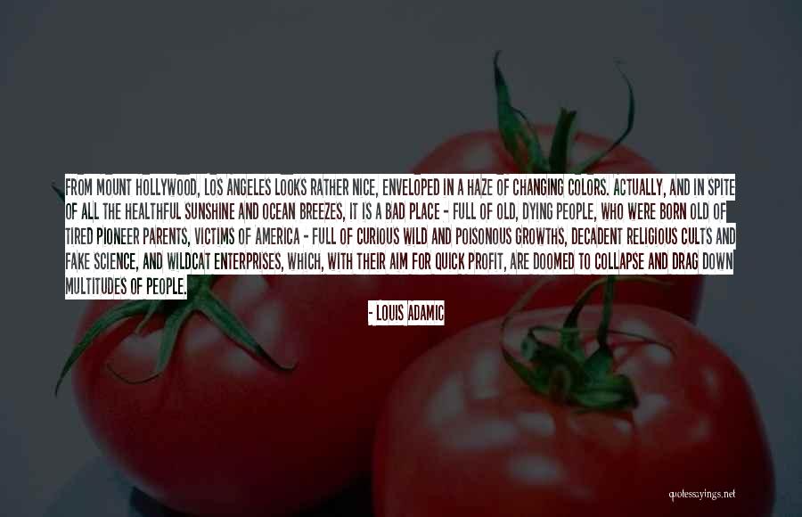 Tired Of Fake Quotes By Louis Adamic Tired Of Fake Quotes By Louis Adamic