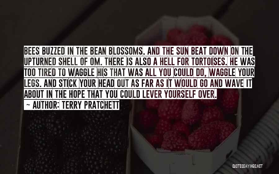 Tired Of It All Quotes By Terry Pratchett