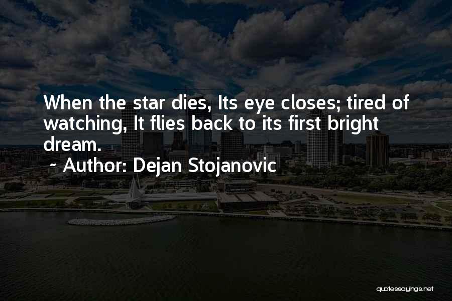 Tiredness Quotes By Dejan Stojanovic