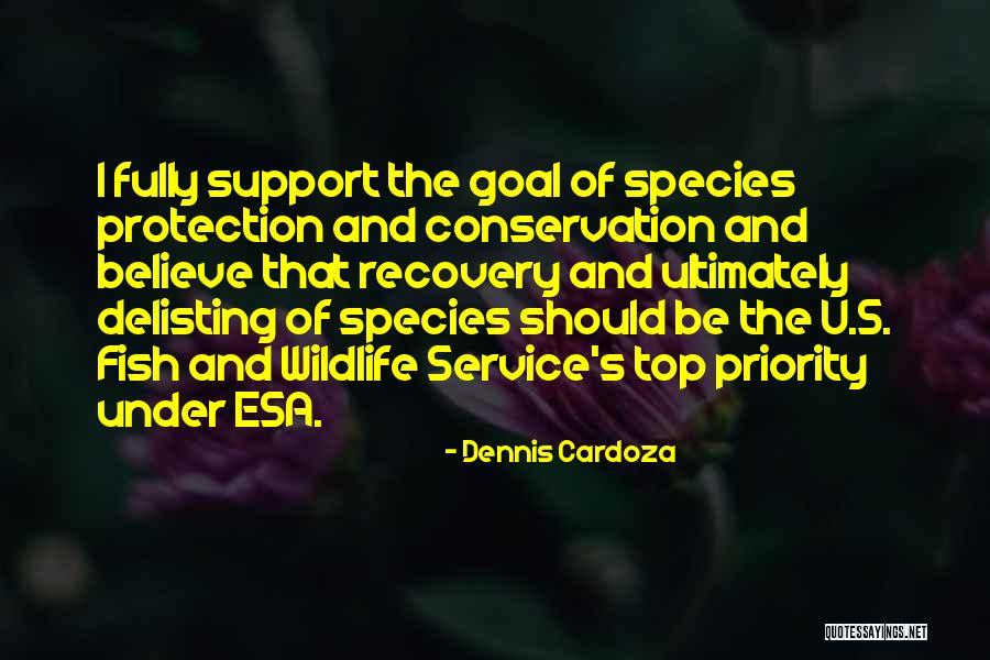 Tirella Quotes By Dennis Cardoza Tirella Quotes By Dennis Cardoza