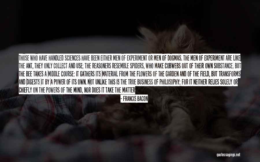 Tirpitz Salvage Quotes By Francis Bacon Tirpitz Salvage Quotes By Francis Bacon