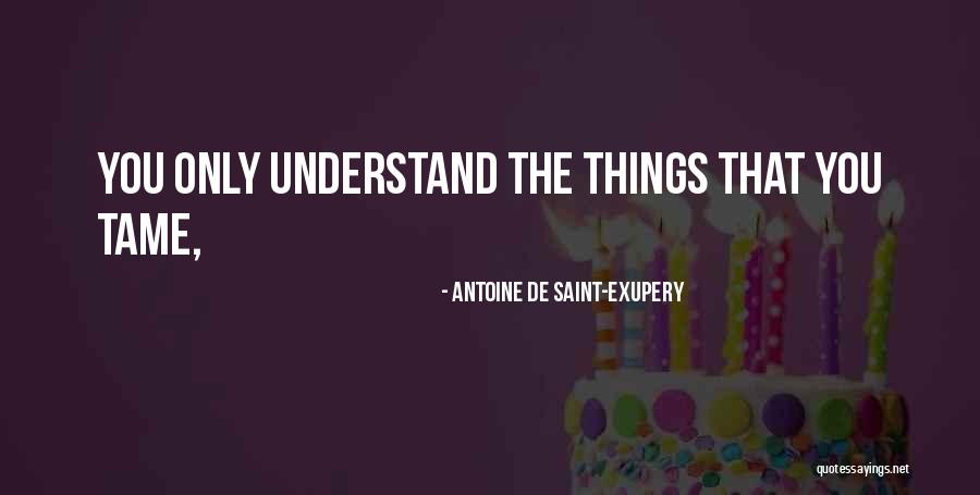 Tirumala Temple Quotes By Antoine De Saint-Exupery Tirumala Temple Quotes By Antoine De Saint-Exupery