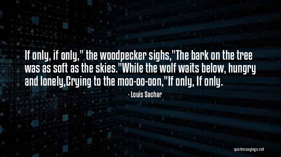 Tisini Hochu Quotes By Louis Sachar Tisini Hochu Quotes By Louis Sachar