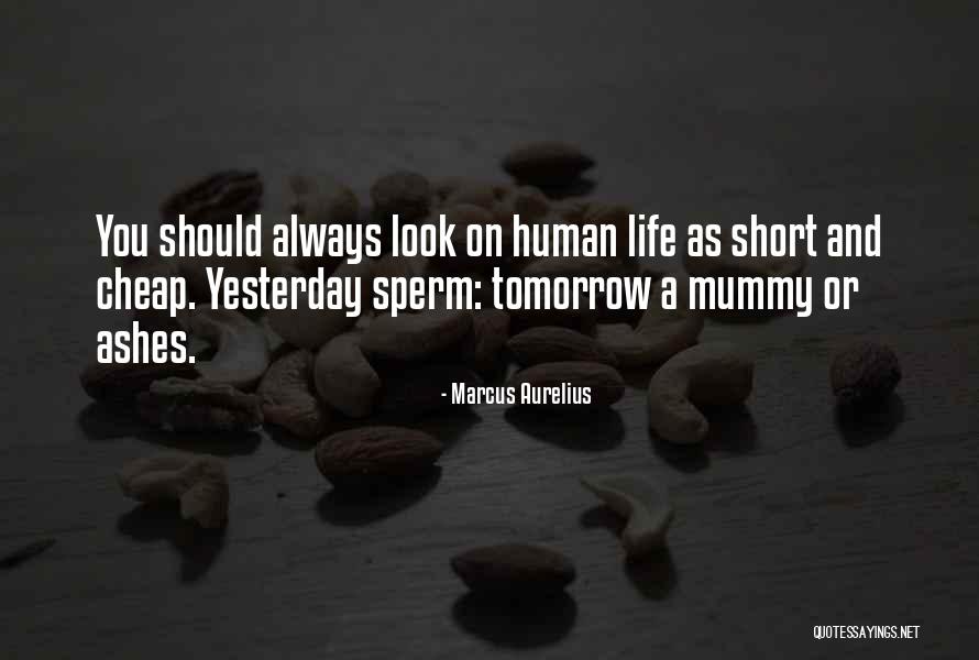 Tislam Loud Quotes By Marcus Aurelius Tislam Loud Quotes By Marcus Aurelius