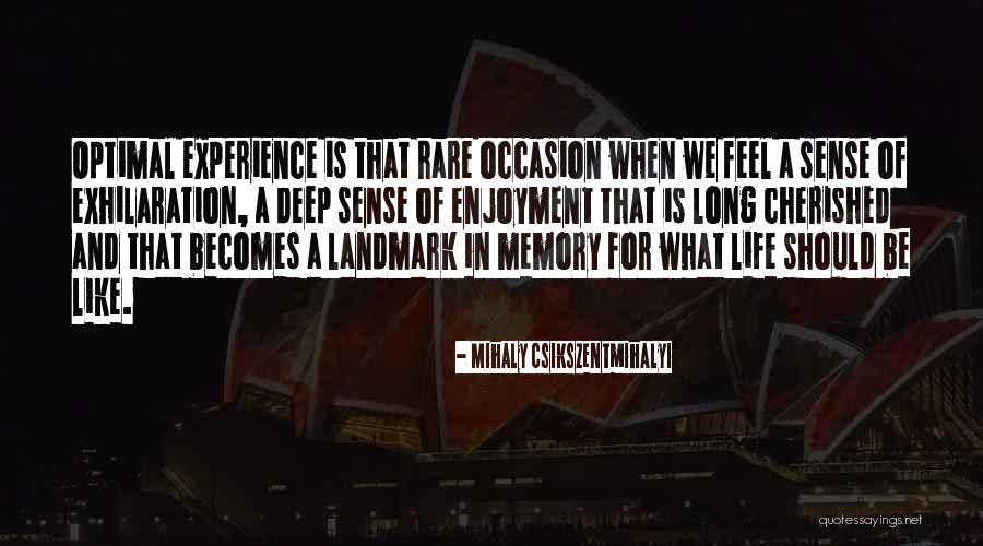 Titanic Sank Quotes By Mihaly Csikszentmihalyi Titanic Sank Quotes By Mihaly Csikszentmihalyi