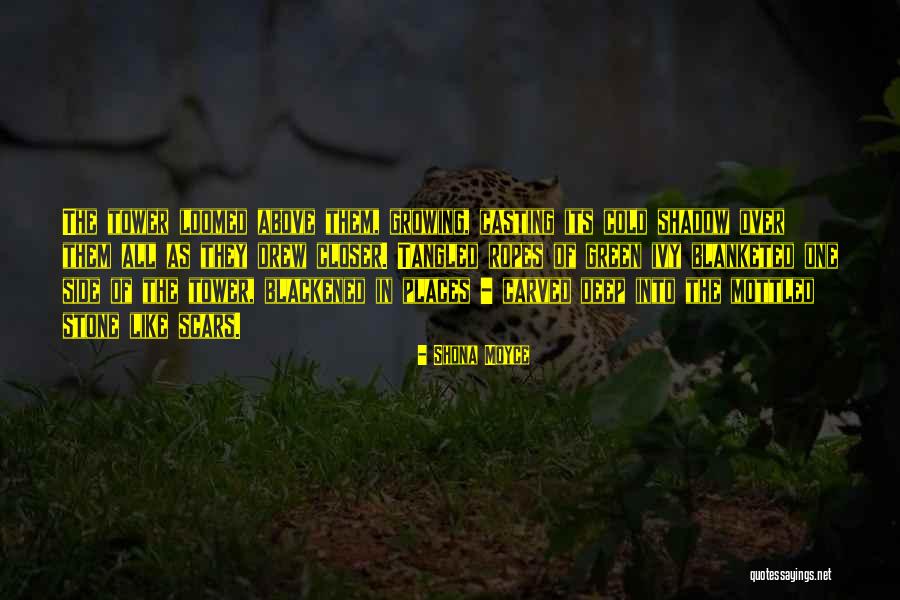 Titanio Tabla Quotes By Shona Moyce Titanio Tabla Quotes By Shona Moyce