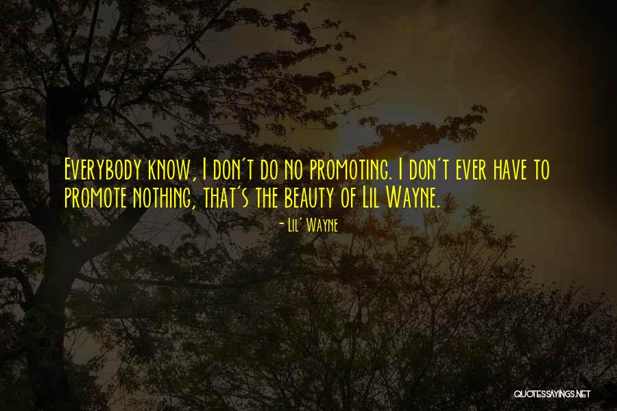 Titillation Video Quotes By Lil' Wayne Titillation Video Quotes By Lil' Wayne
