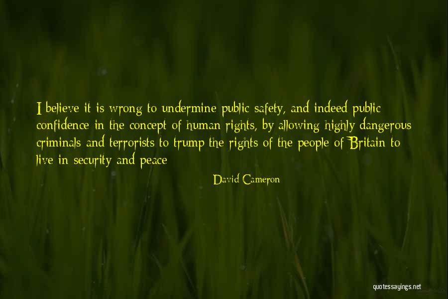 Titleist Ap1 Quotes By David Cameron Titleist Ap1 Quotes By David Cameron