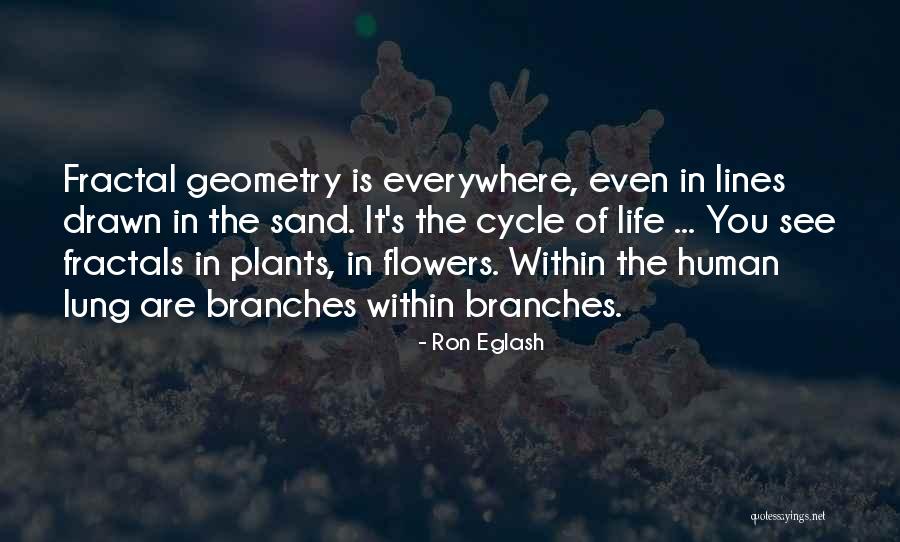 Titokban Latinul Quotes By Ron Eglash Titokban Latinul Quotes By Ron Eglash