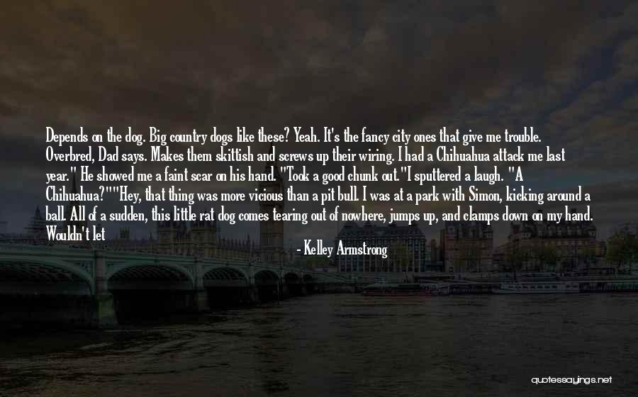Tito's Quotes By Kelley Armstrong Tito's Quotes By Kelley Armstrong