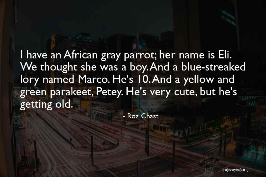 Tivo Bolt Quotes By Roz Chast Tivo Bolt Quotes By Roz Chast