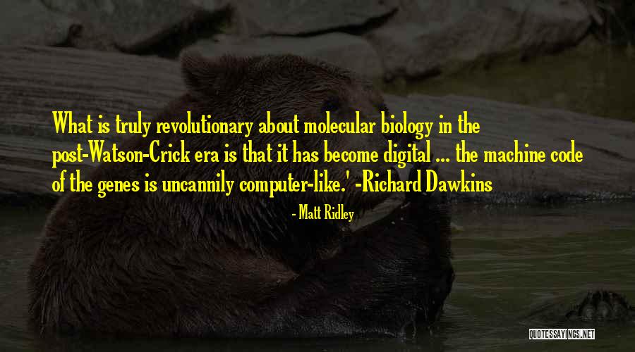 Tizuka Yamazaki Quotes By Matt Ridley Tizuka Yamazaki Quotes By Matt Ridley