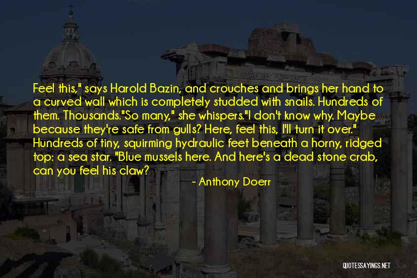 Tjerk Hooghiemstra Quotes By Anthony Doerr Tjerk Hooghiemstra Quotes By Anthony Doerr