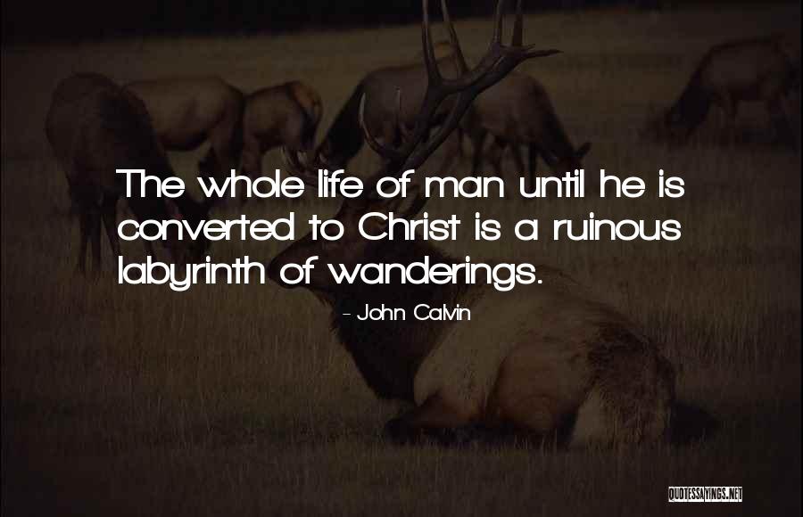 Tlap Angolul Quotes By John Calvin Tlap Angolul Quotes By John Calvin