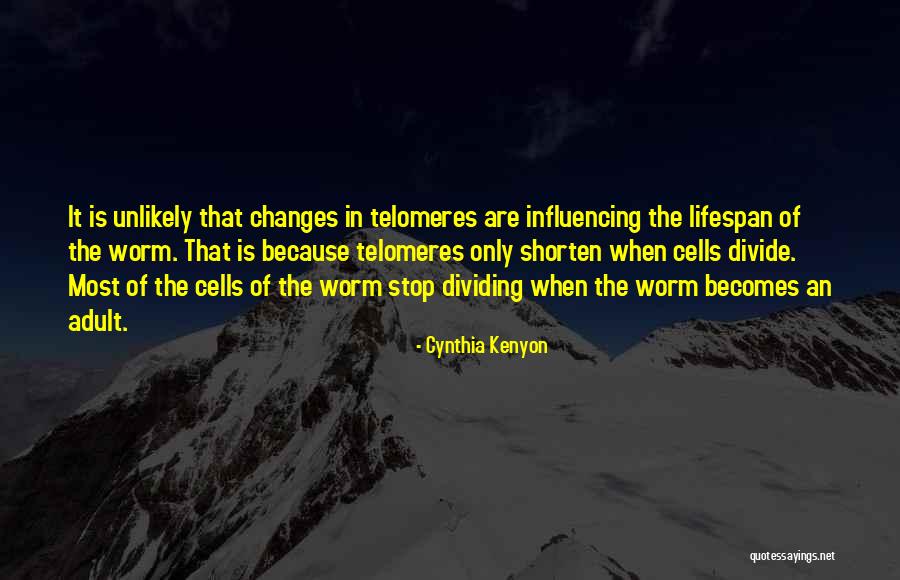 Tmc Transportation Quotes By Cynthia Kenyon Tmc Transportation Quotes By Cynthia Kenyon