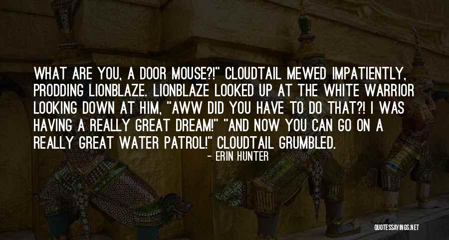 To A Mouse Quotes By Erin Hunter To A Mouse Quotes By Erin Hunter