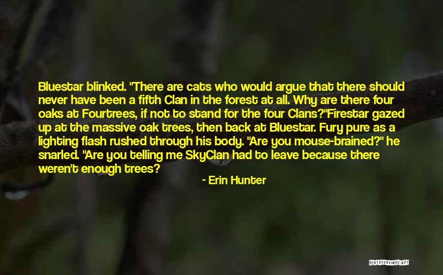 To A Mouse Quotes By Erin Hunter To A Mouse Quotes By Erin Hunter