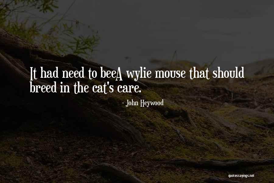 To A Mouse Quotes By John Heywood To A Mouse Quotes By John Heywood