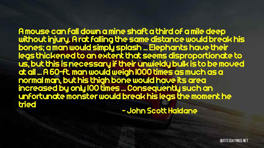 To A Mouse Quotes By John Scott Haldane To A Mouse Quotes By John Scott Haldane