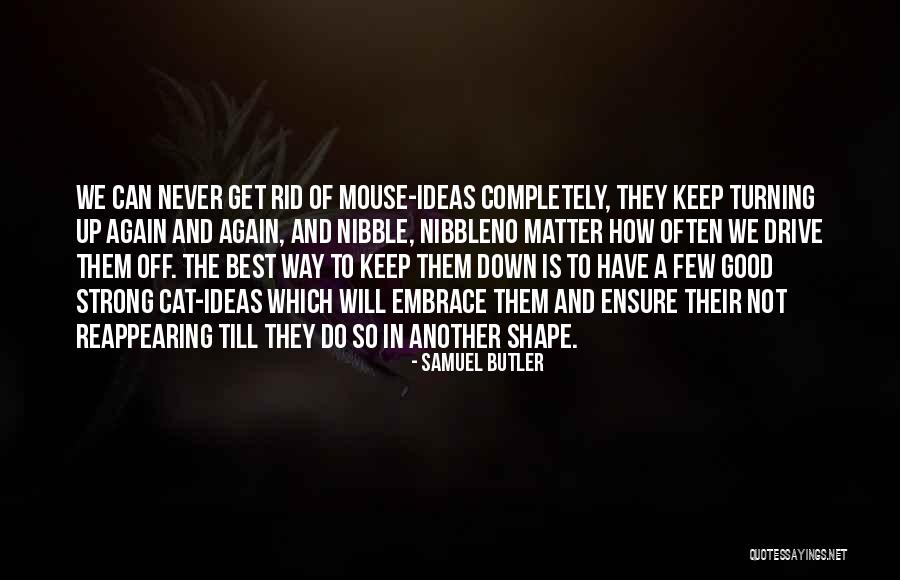 To A Mouse Quotes By Samuel Butler To A Mouse Quotes By Samuel Butler