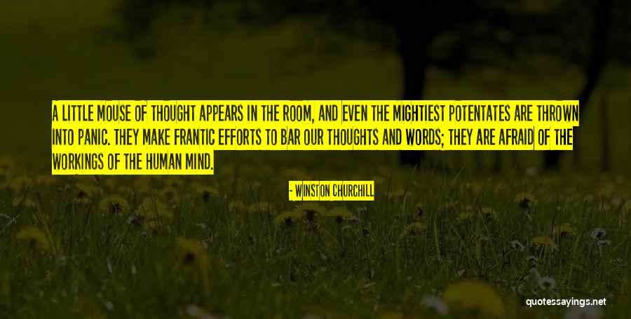 To A Mouse Quotes By Winston Churchill To A Mouse Quotes By Winston Churchill