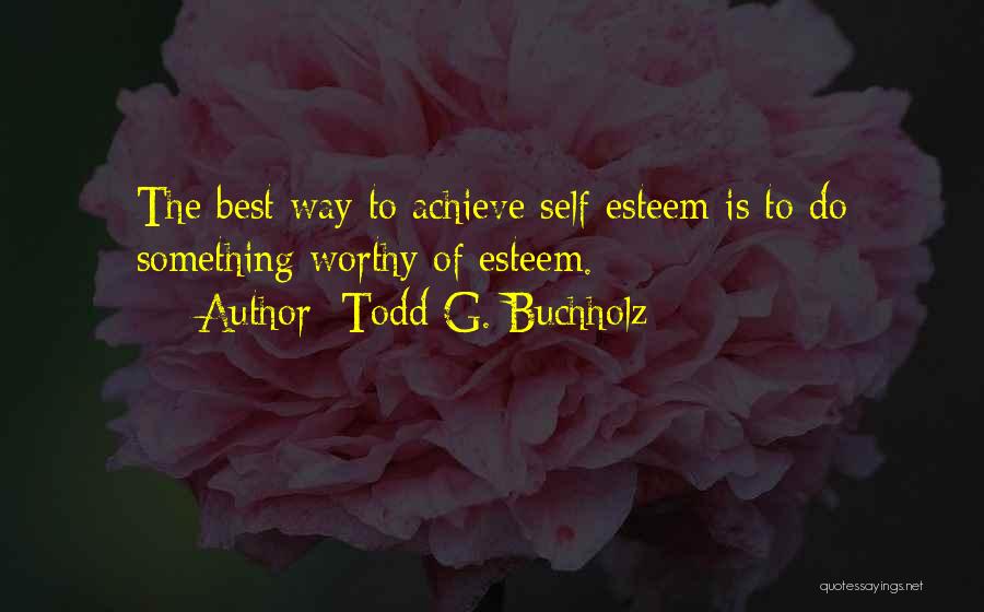 To Achieve Something Quotes By Todd G. Buchholz