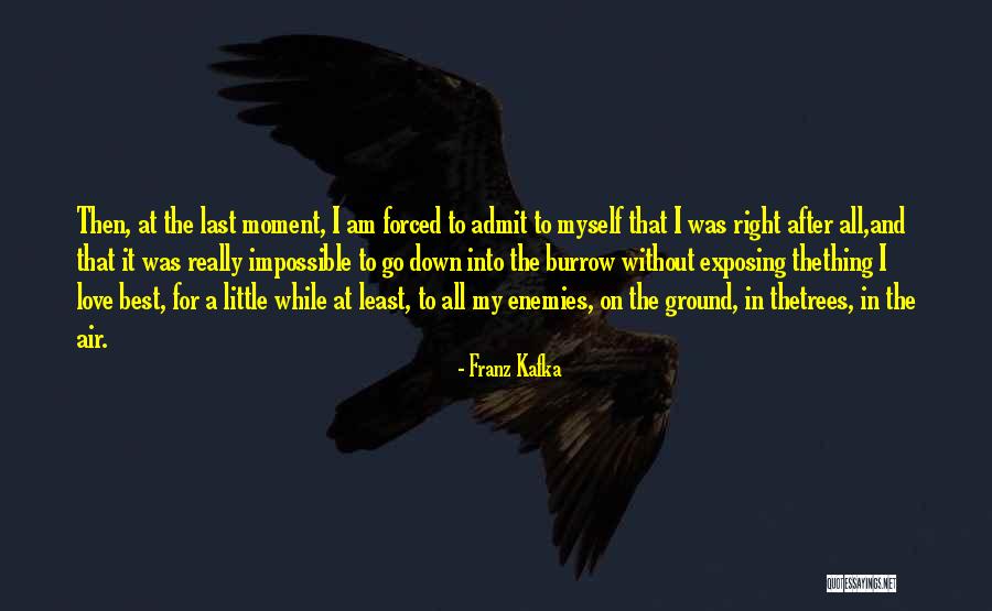 To All My Enemies Quotes By Franz Kafka