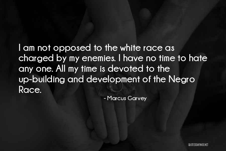 To All My Enemies Quotes By Marcus Garvey