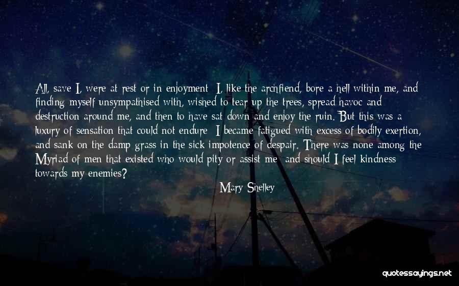 To All My Enemies Quotes By Mary Shelley