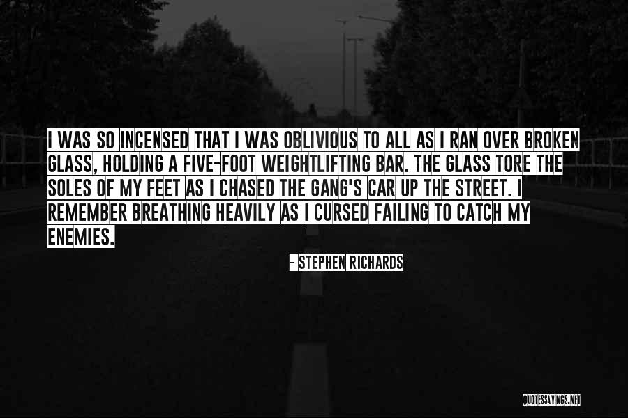 To All My Enemies Quotes By Stephen Richards