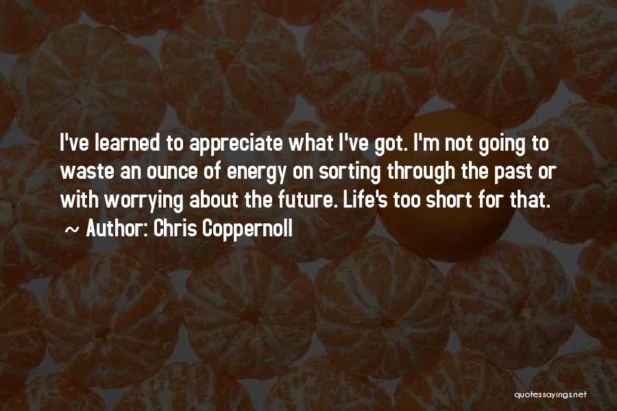 To Appreciate Life Quotes By Chris Coppernoll