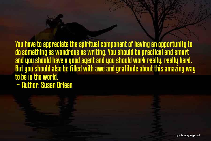 To Appreciate Something Quotes By Susan Orlean