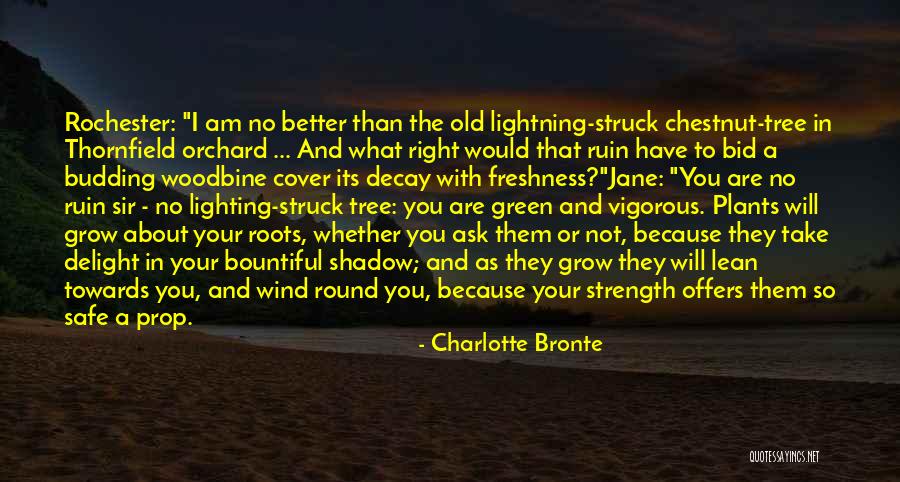 To Aru Kagaku No Railgun Quotes By Charlotte Bronte To Aru Kagaku No Railgun Quotes By Charlotte Bronte