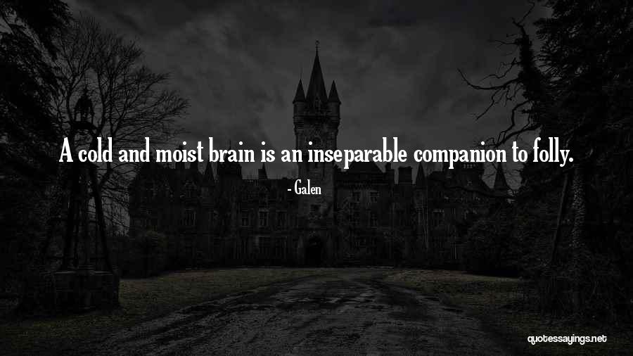 To Brain Quotes By Galen To Brain Quotes By Galen