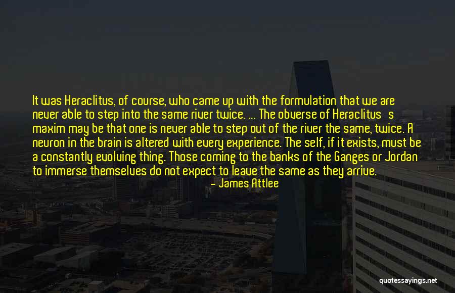 To Brain Quotes By James Attlee To Brain Quotes By James Attlee