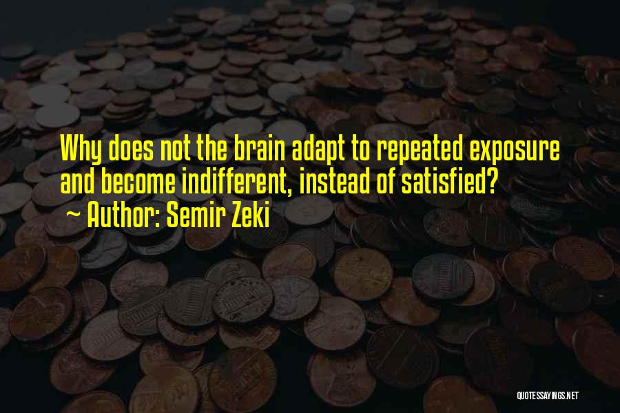 To Brain Quotes By Semir Zeki